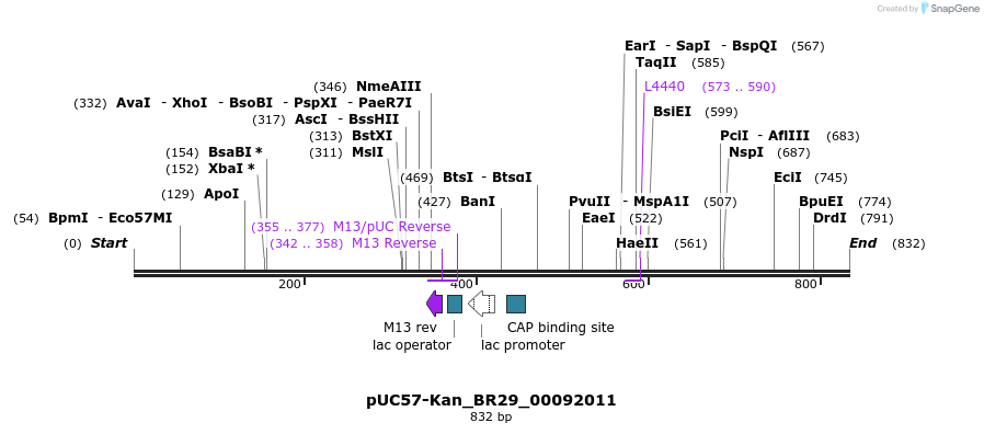 237719_map