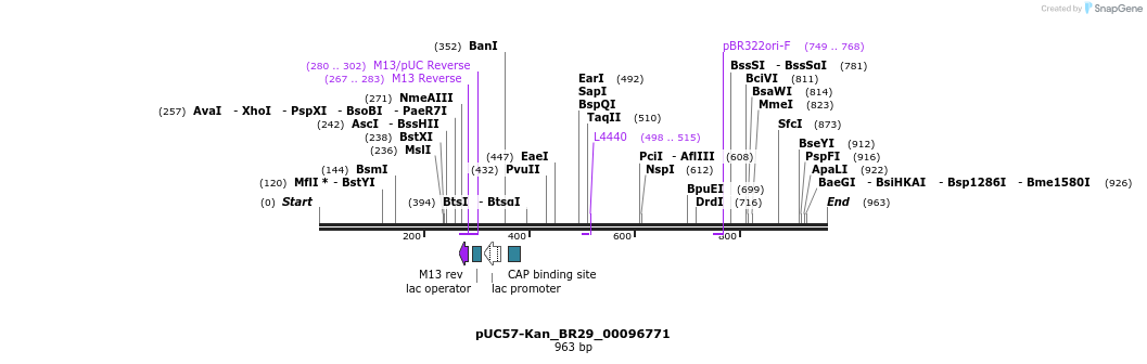 237741_map