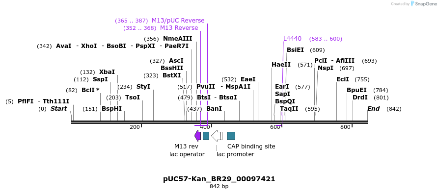 237749_map
