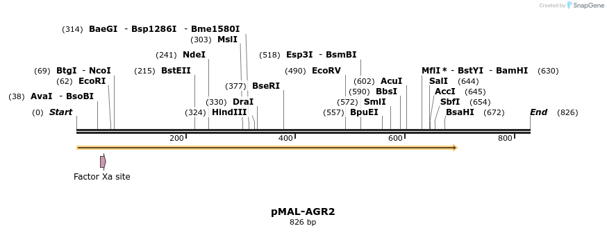 23775_map