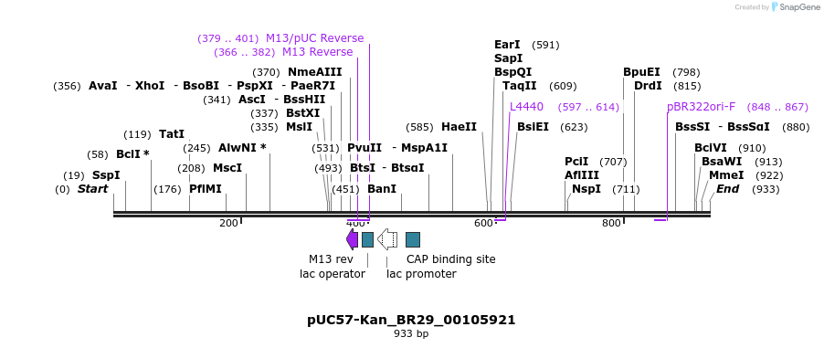 237754_map