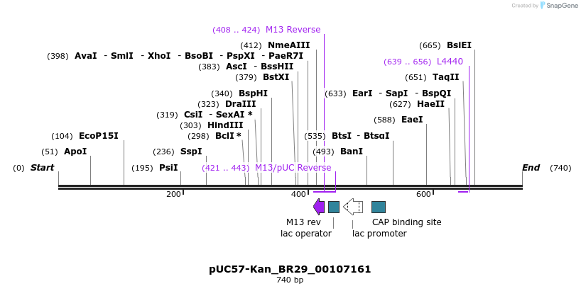 237758_map