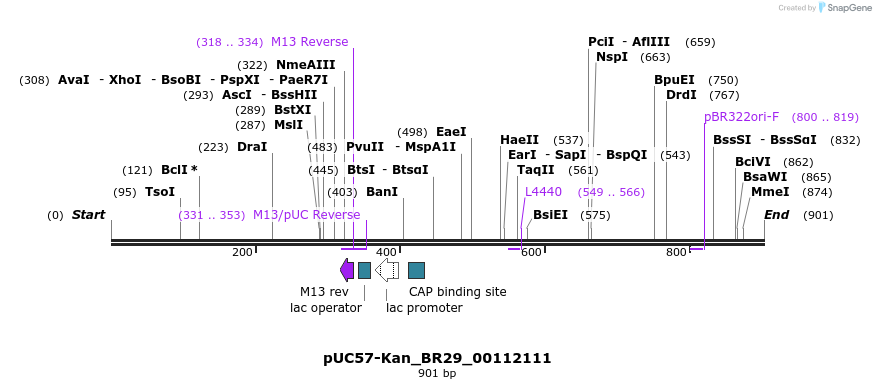 237762_map