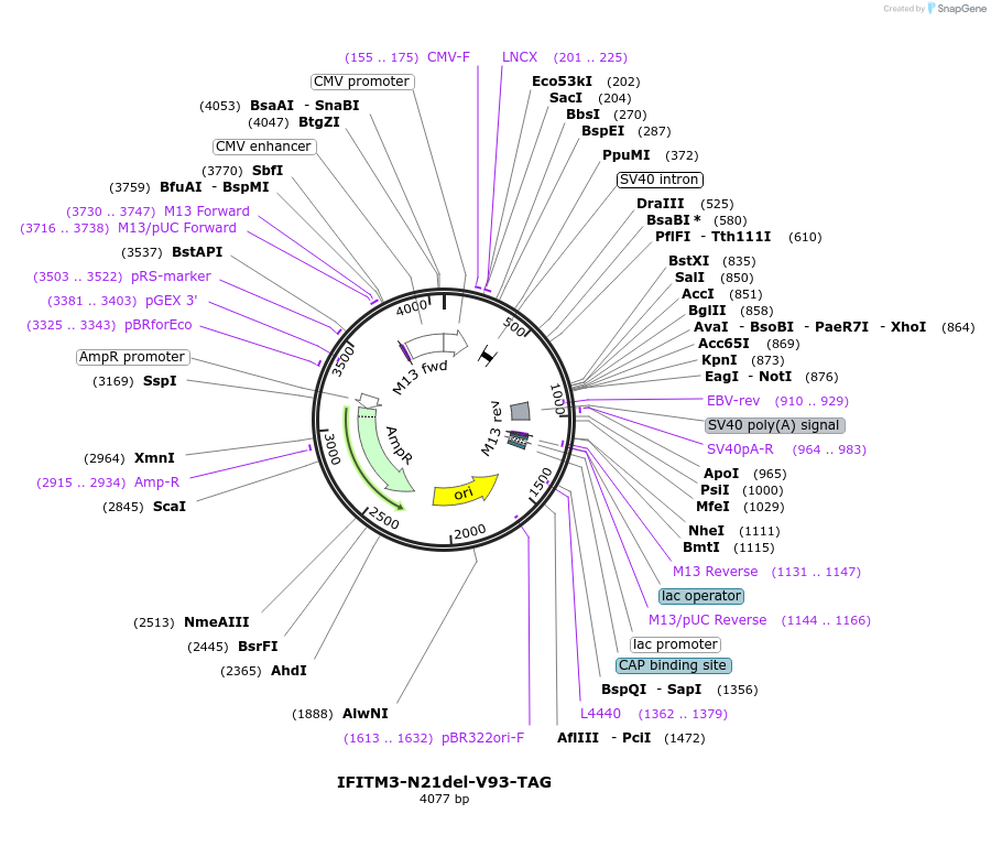237764_map