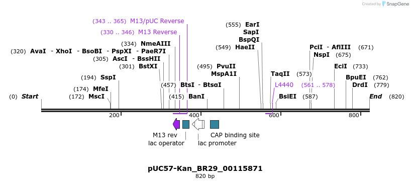 237766_map