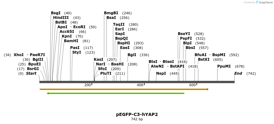 23779_map