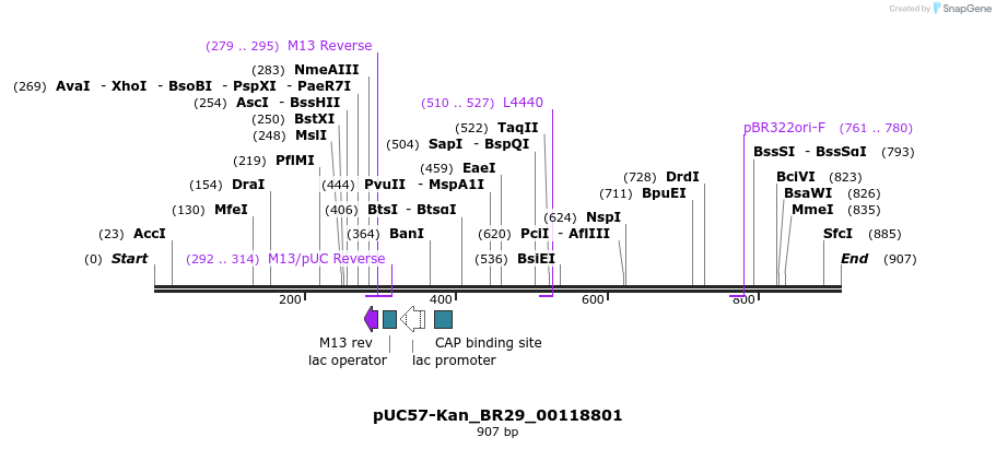 237806_map