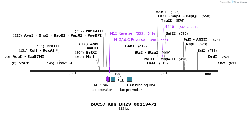237808_map