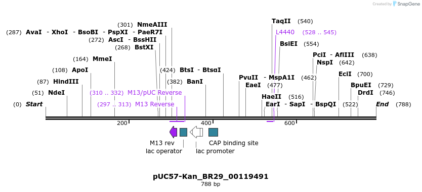 237810_map
