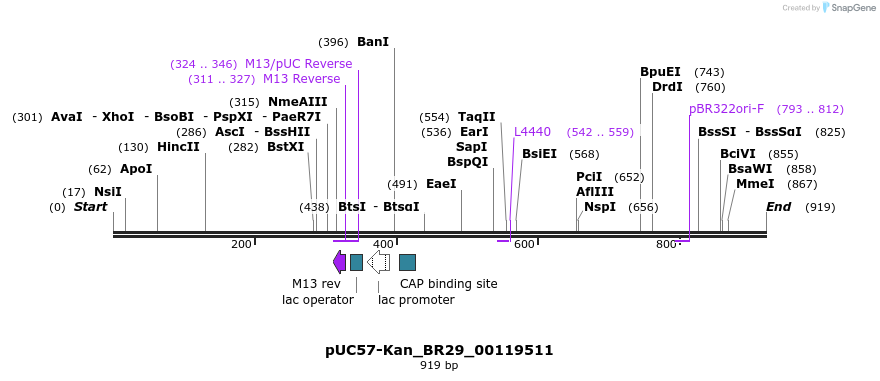 237811_map