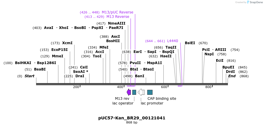 237812_map