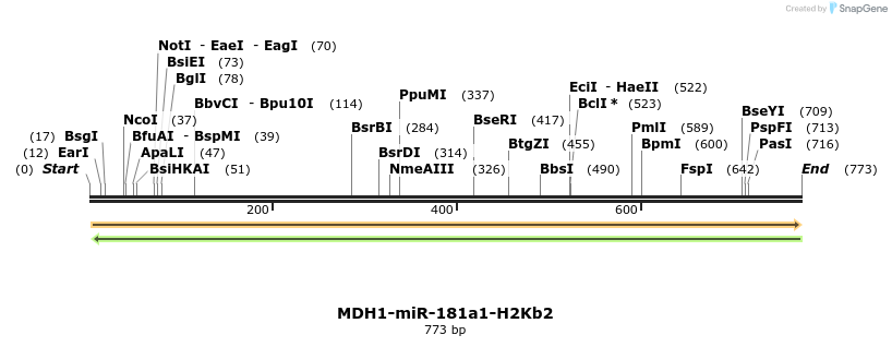 23782_map