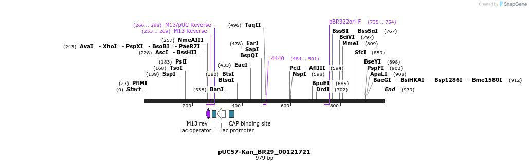 237823_map