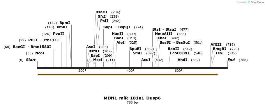 23783_map