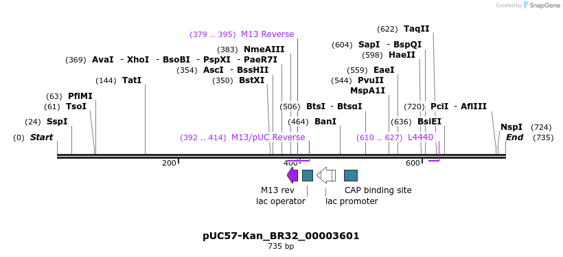 237836_map