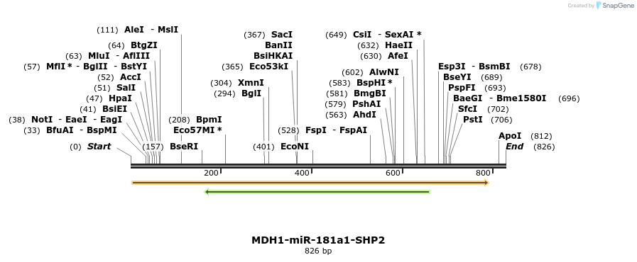 23784_map