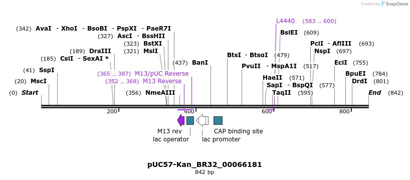 237858_map