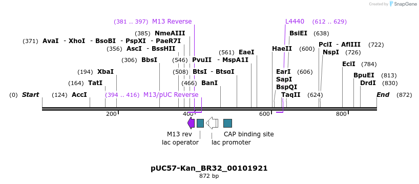 237865_map