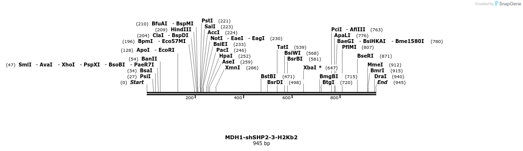 23787_map