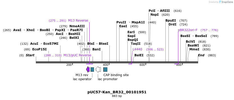 237872_map