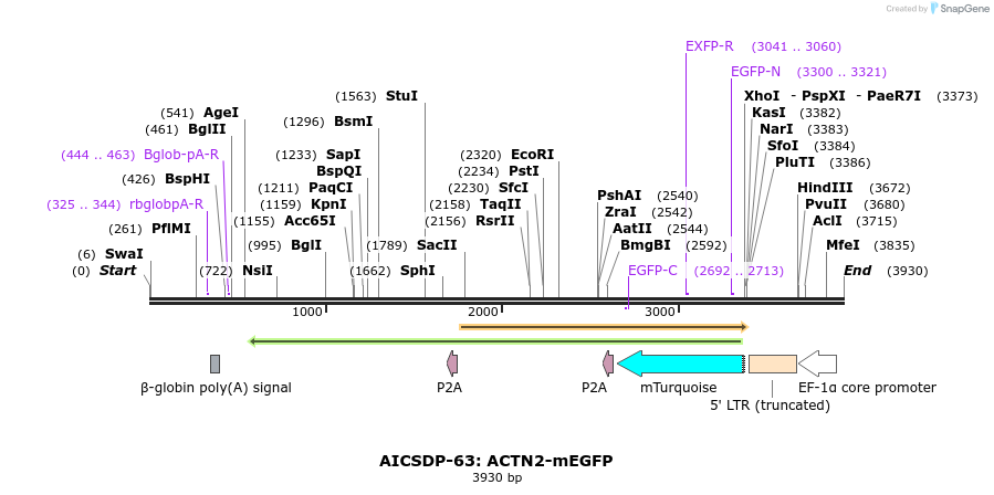 237875_map