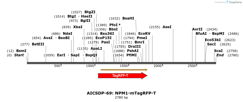 237876_map