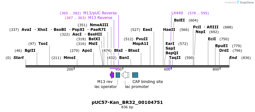 237880_map