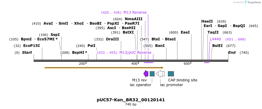 237888_map