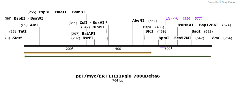 23789_map