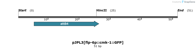 237892_map