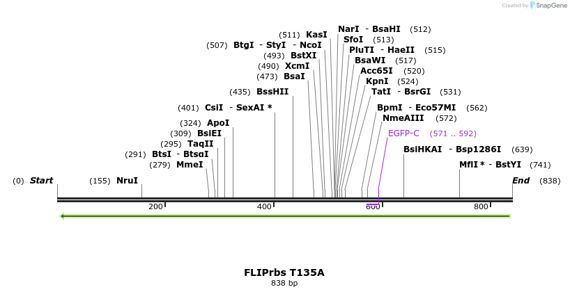23791_map