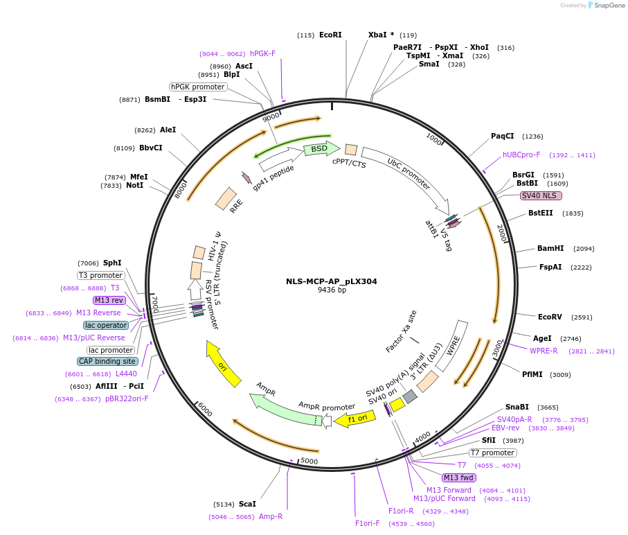 237912_map
