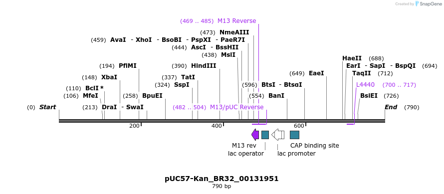 237920_map