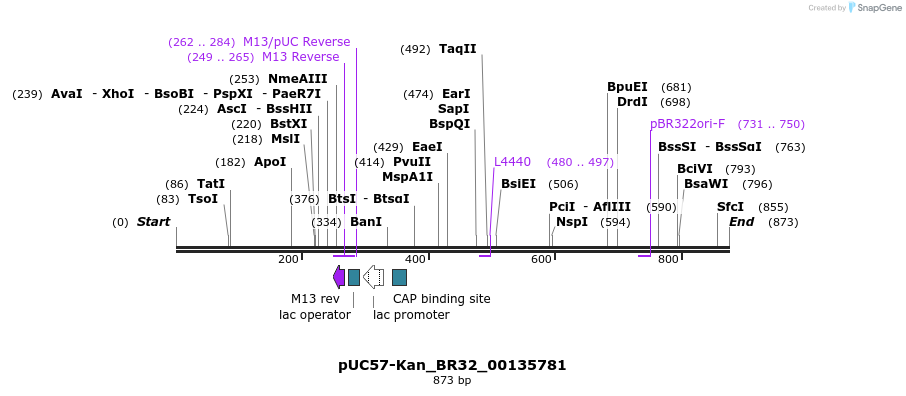 237931_map