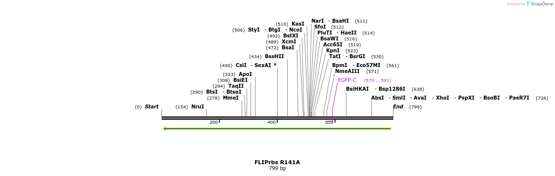 23795_map
