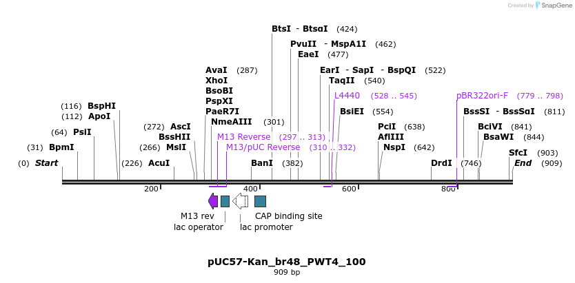 237951_map