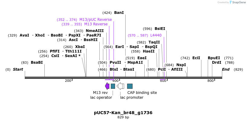 237958_map