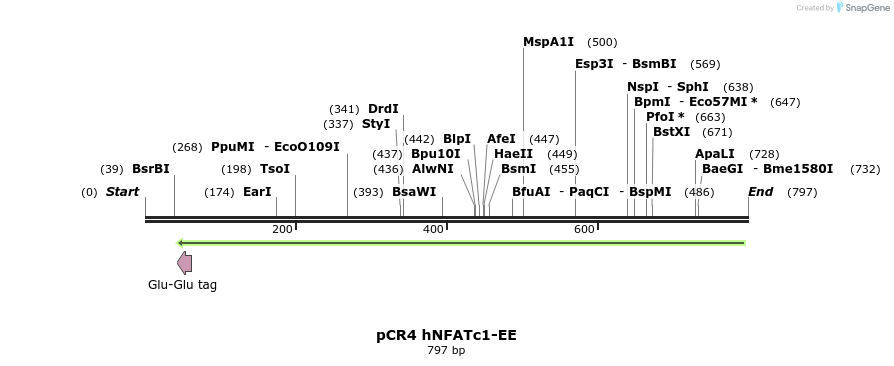 23796_map