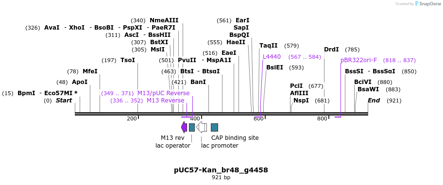 237967_map