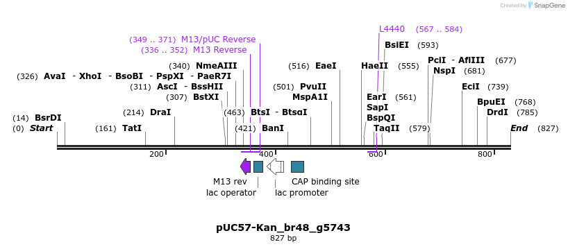 237969_map