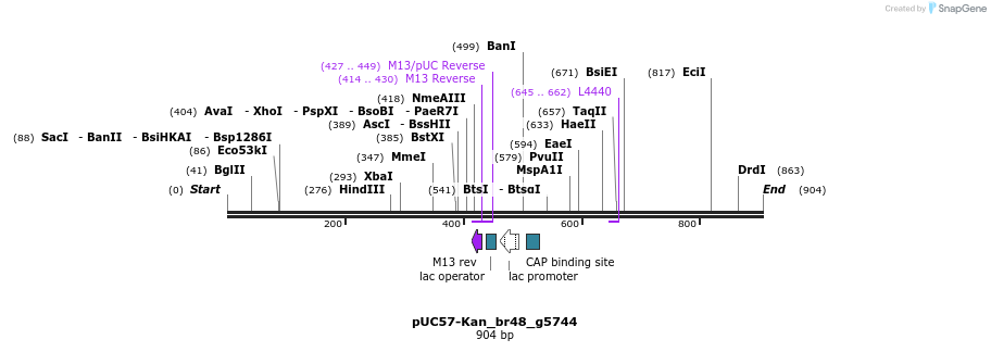 237972_map