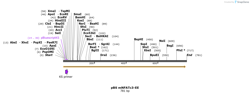 23798_map