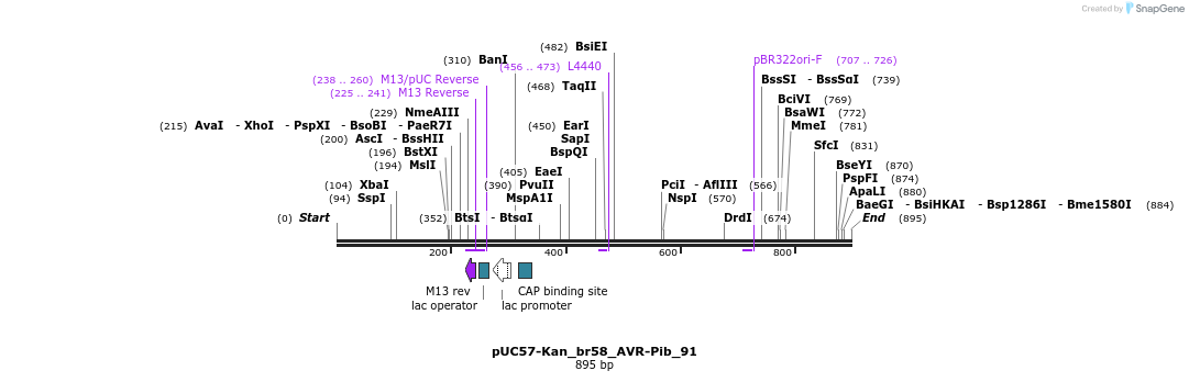 237982_map