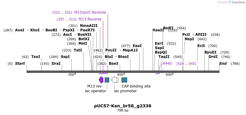 237986_map