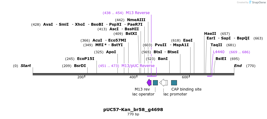 237993_map