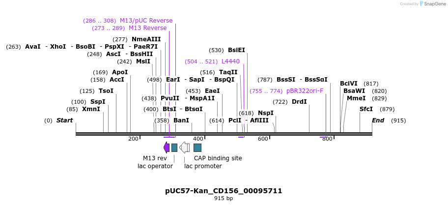 237996_map