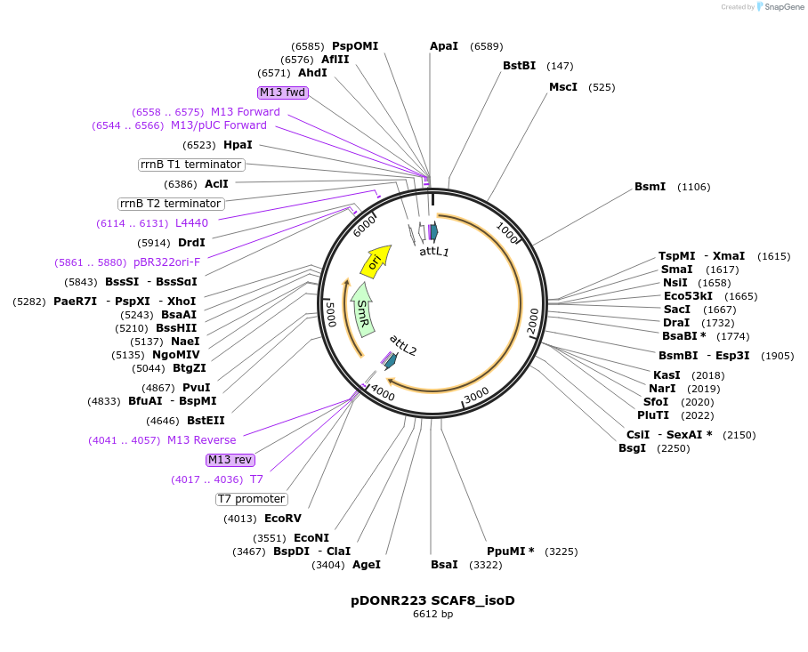 237998_map