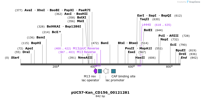 238001_map
