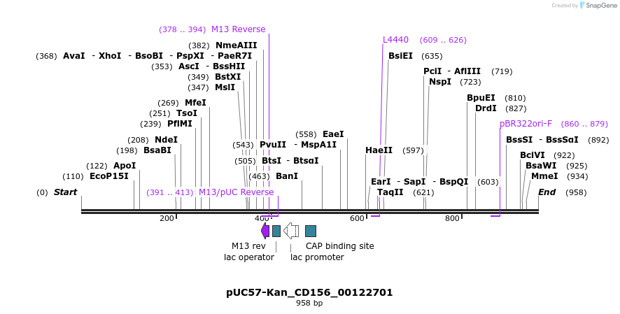 238002_map