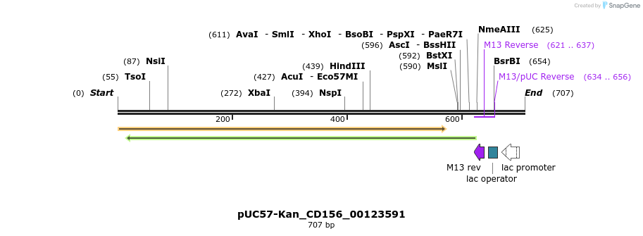 238004_map